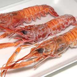 Langoustine in Cape Town