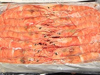 The little fisherman - Frozen red shrimp